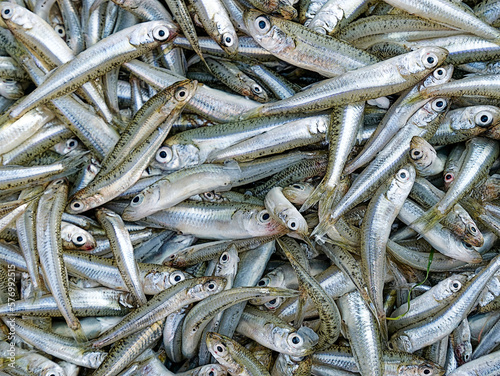 Fresh smelt fish catch for sale at the local market, top view closeup. Healthy Mediterranean diet with lots of omegas and minerals.