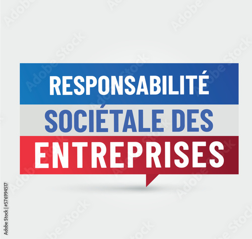 RSE - responsabilité sociétale des entreprises en france