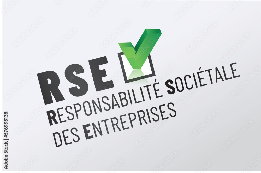 RSE - responsabilité sociétale des entreprises en france RSE - responsabilité sociétale des entreprises en france