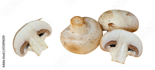 Set of white champignon mushrooms on transparent background. Sliced mushrooms. png