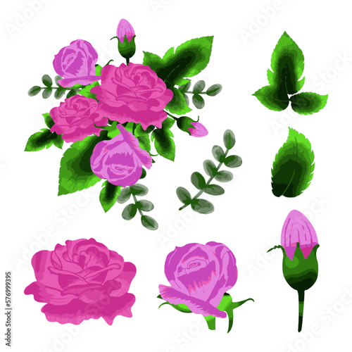 Vector Botanical set of wild flowers set of separate parts and bring together to beautiful bouquet of flowers in water colours