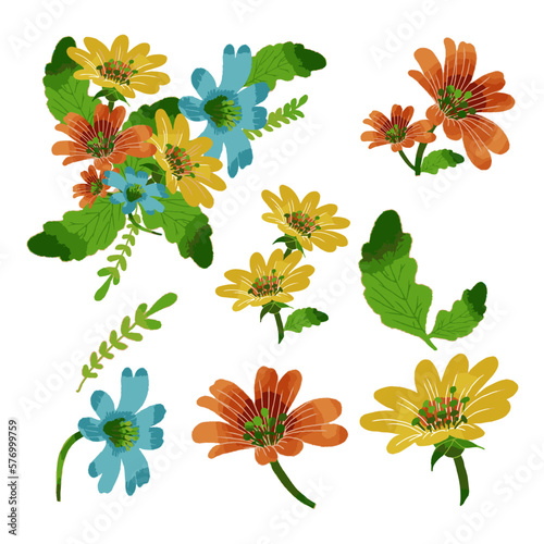 Vector Botanical set of wild flowers set of separate parts and bring together to beautiful bouquet of flowers in water colours