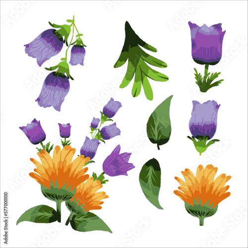 Vector Botanical set of wild flowers set of separate parts and bring together to beautiful bouquet of flowers in water colours