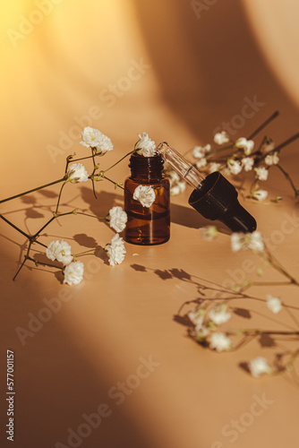 Small bottle of serum on neutral beige background. Trendy shadows. Beauty pipette dropper with Gypsophila or baby's breath white flowers. Glass of cosmetic oil and dried flowers and herbs. Natural