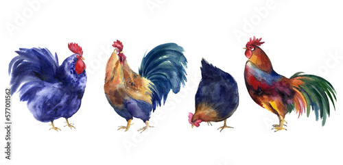 Watercolor farm chickens illustrations, easter illustrations, easter eggs, barn 