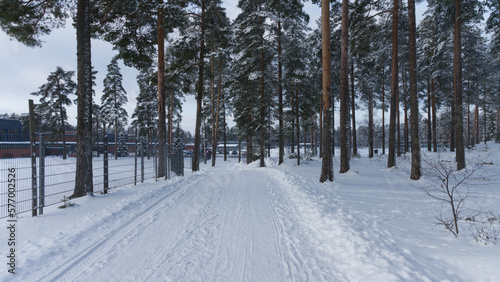 winter in the forest © K. Dufva
