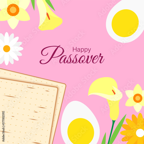 Vector illustration Happy Passover greeting