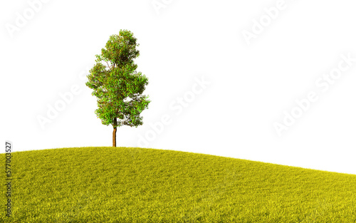 Isolated tree on grassy hill with transparent. 3D Render