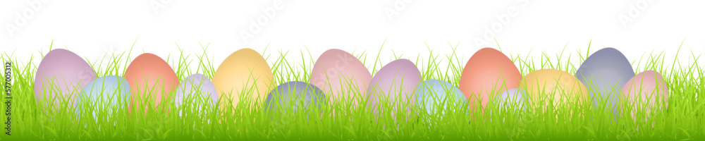 Fototapeta premium Banner 14 Ostereier Bunt In Wiese