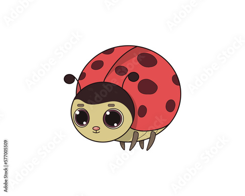 Lady beetle vector isolated colour icon. Lady beetle animal vector icon. Lady beetle icon