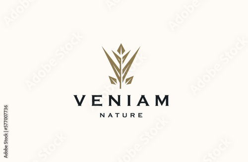 Nature leaf branch logo  icon design template flat vector photo