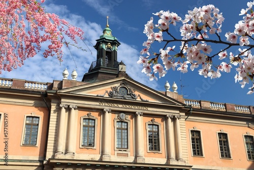 Stockholm Swedish Academy. Spring time cherry blossoms. photo