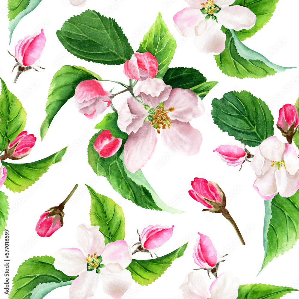 Watercolor seamless pattern with apple tree blooms. Isolated on white background