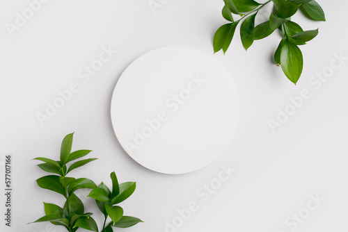 Empty round podium and green leaves on light grey background top view. Pedestal and fresh natural branches for cosmetic advertising. Eco product presentation mockup. Top view. Minimal flat lay.