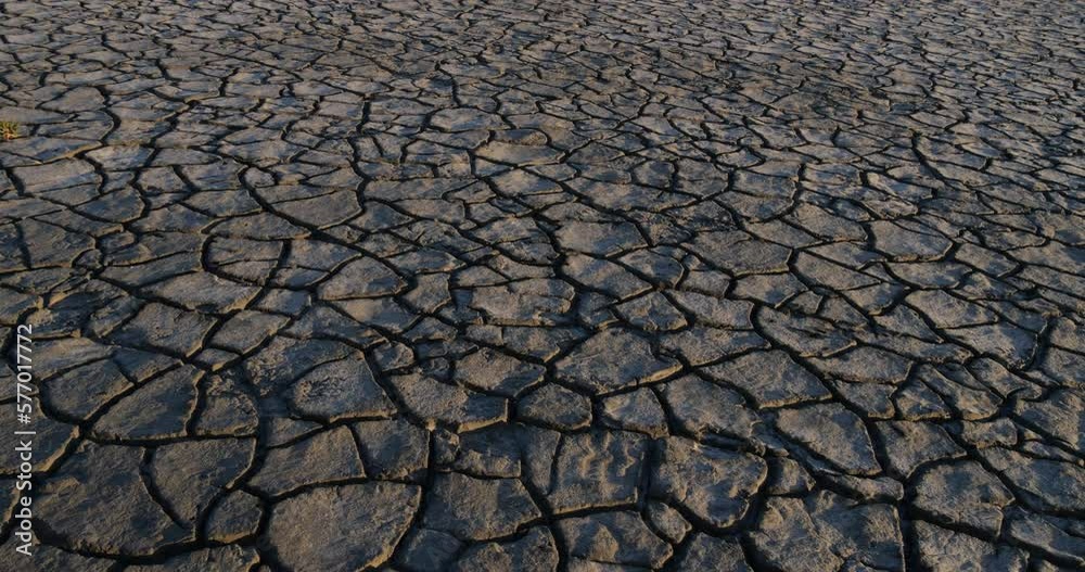 Drought in the Marshes of Camargue, Les Saintes Maries de la Mer, in the South East of France, slow motion 4K Drought in the Marshes of Camargue, Les Saintes Maries de la Mer, in the South East of France, slow motion 4K