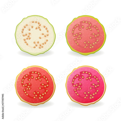 Sliced raw and ripe Guava fruits set vector illustration.