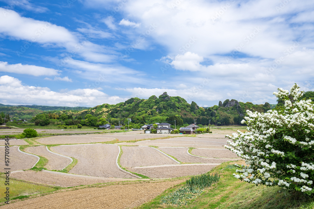田染荘の風景