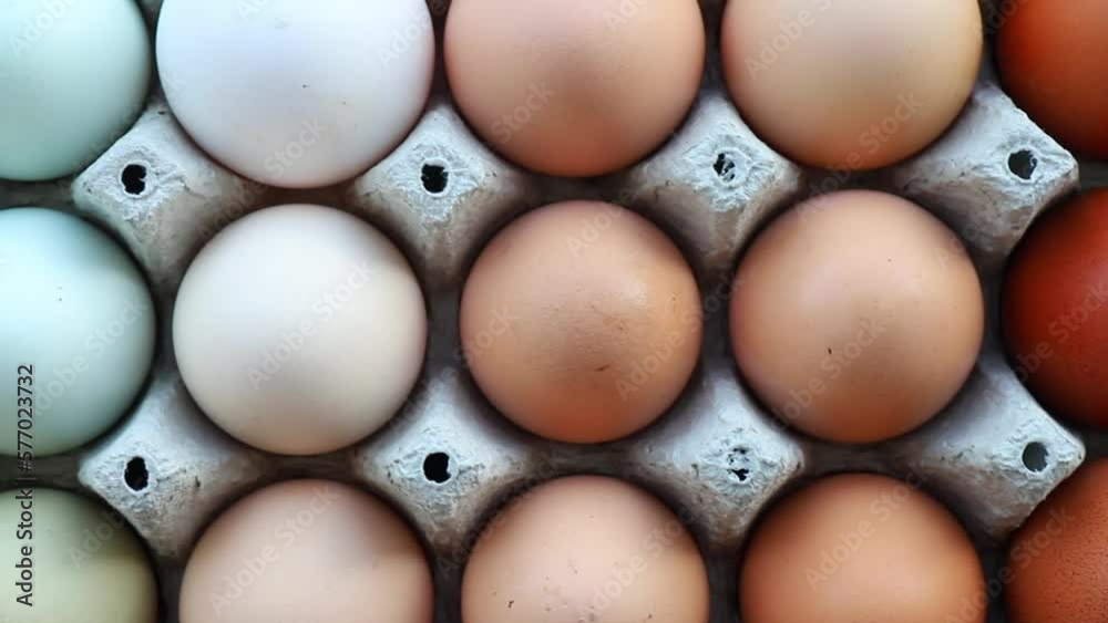 Lot of different color chicken eggs arranged by color on paper egg box. All sorts of colors: blue, green, white, beige, brown. From natural organic farm. Minimal above view.
