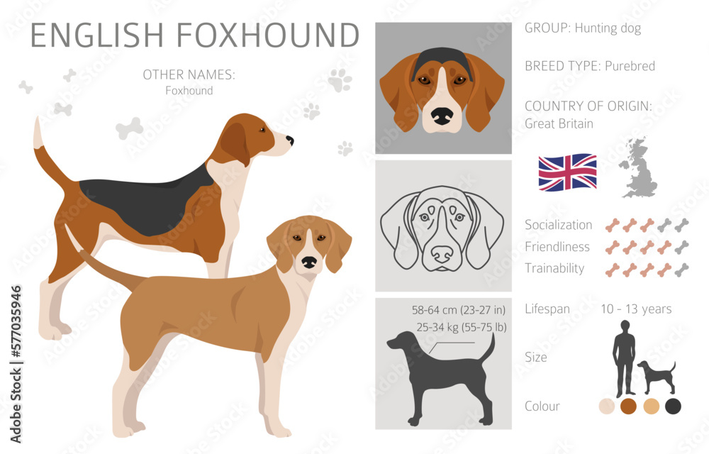 Foxhound coat hot sale