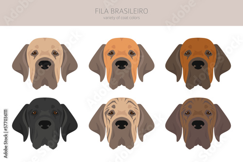 Fila Brasileiro clipart. Different poses, coat colors set