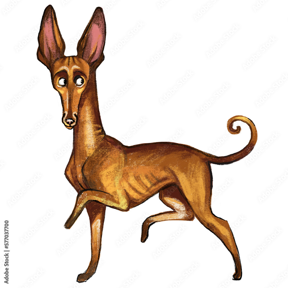Cute Cirneco dell'Etna dog character funny cartoon illustration Cute Cirneco dell'Etna dog character funny cartoon illustration