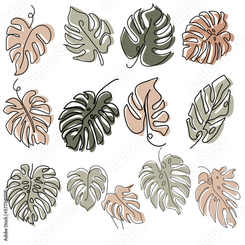 Set of Monstera Line Art