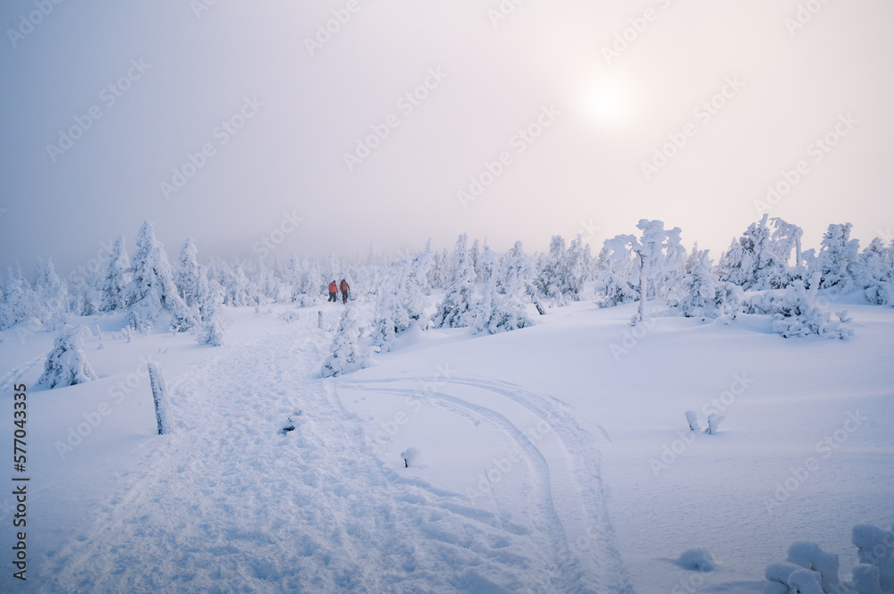 Hikers emerging from the frozen forest on a winter day, Gaspesie, QC, Canada
