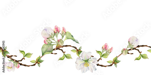 Hand drawn watercolor apple flowers, branches and leaves, white, pink and green. Seamless horizontal banner. Isolated on white background. Design for wall art, wedding, print, fabric, cover, card.
