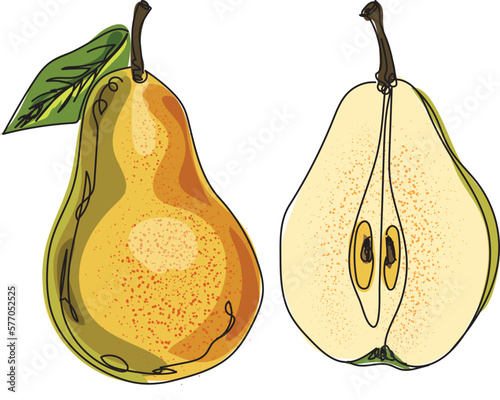 vector illustration of pears made in warm colors