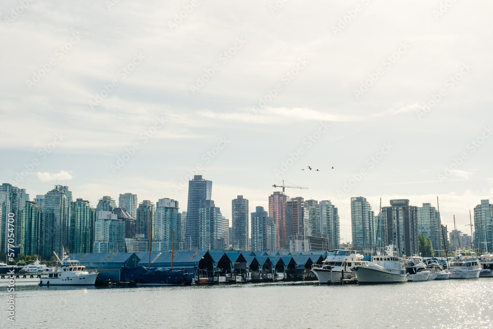 Obraz premium view of Vancouver skyline and Burrard Inlet from Stanley Park in autumn, Vancouver, British Columbia - sep 2019