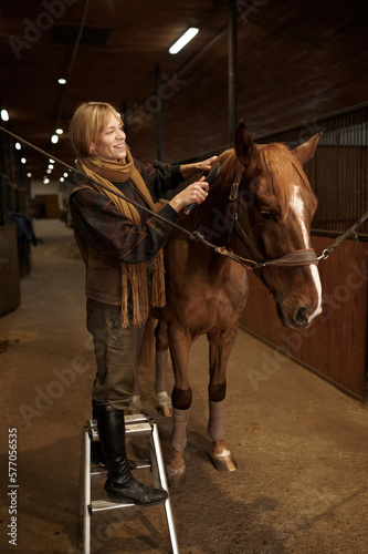 Horsewoman combing mane of her brown thoroughbred horse in stable