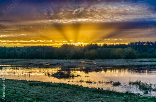 Nisqually Wetlands Golden Sunset 7