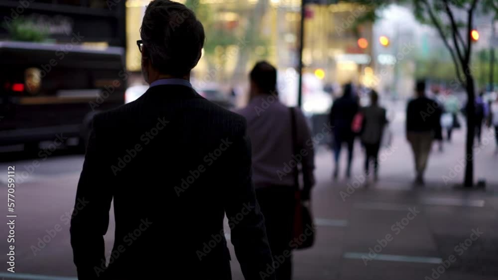 Back view, successful businessman in suit walks between people down city street in financial district. Silhouette of confident entrepreneur in eye glasses heading forward in downtown. Slow motion Back view, successful businessman in suit walks between people down city street in financial district. Silhouette of confident entrepreneur in eye glasses heading forward in downtown. Slow motion