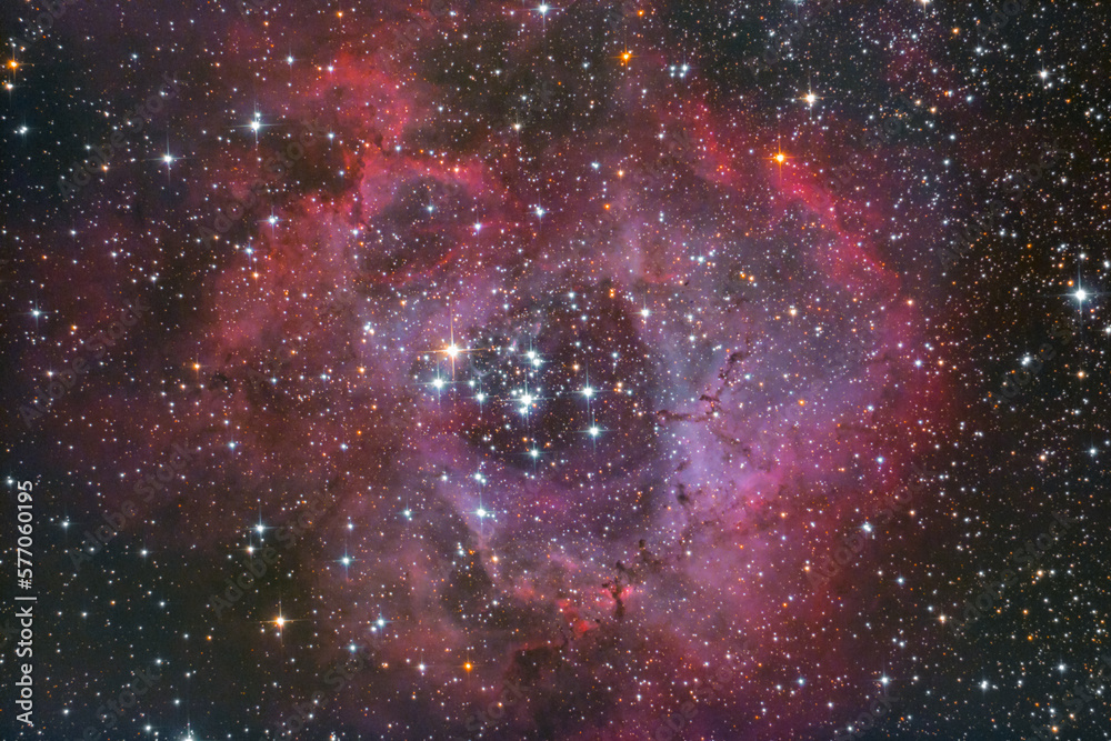 Nebulosa Rosetta - NGC2237