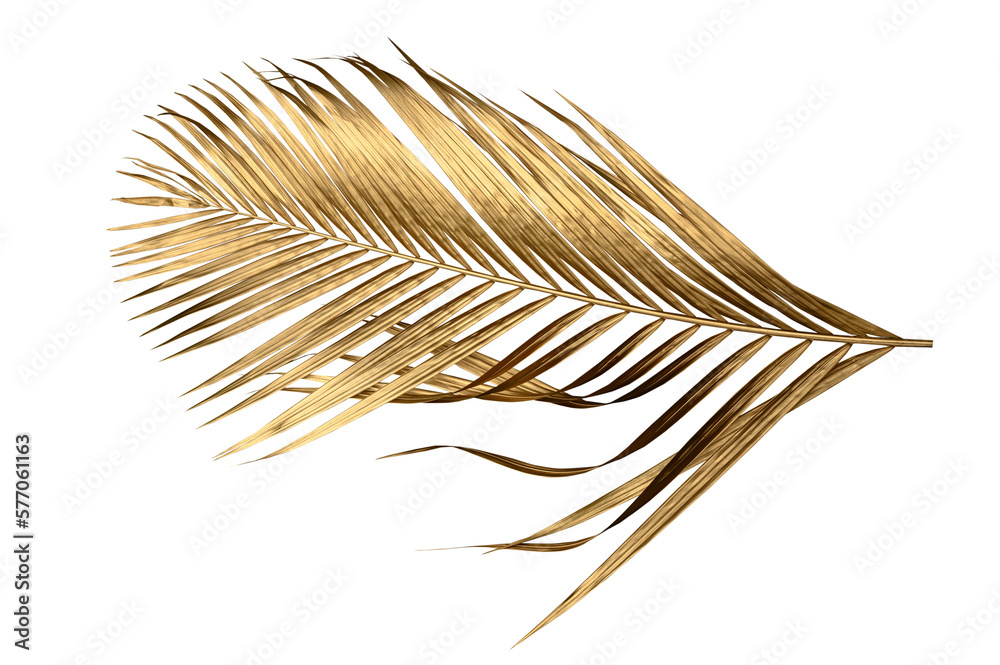 Golden palm leaf PNG on transparent background Abstract monstera leaf ...