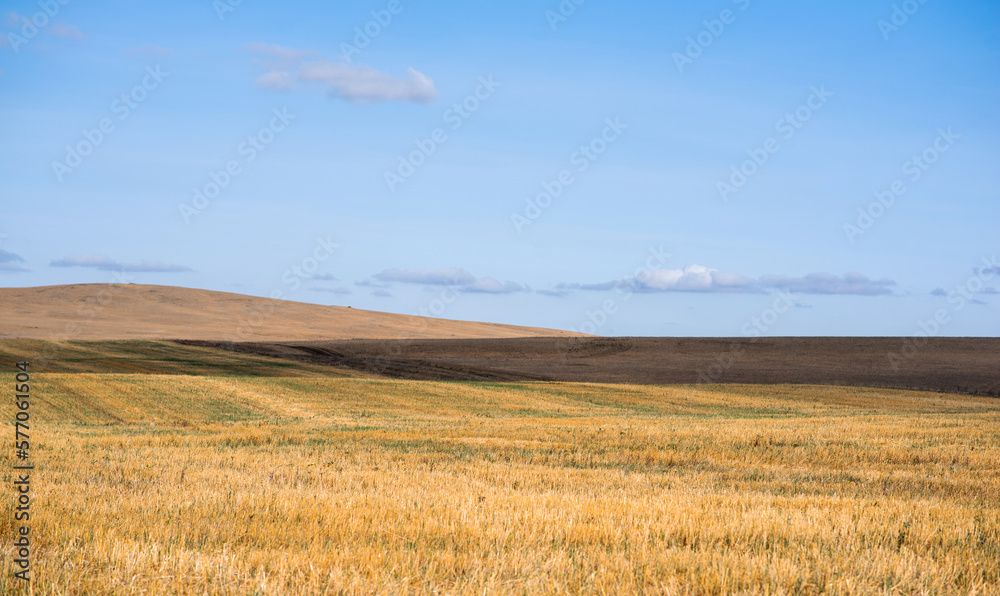 View of yellow fields and farmland to the horizon. Autumn rural landscape of hilly area. Deep bright cloudy sky, valley landscape.