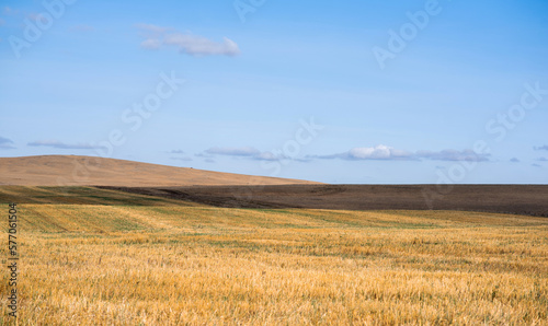 View of yellow fields and farmland to the horizon. Autumn rural landscape of hilly area. Deep bright cloudy sky  valley landscape.