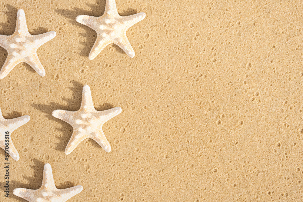Sea stars on the sand. Seashells pattern. Sea stars on the sand. Seashells pattern.