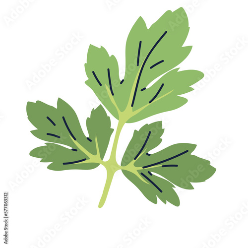 PNG image cooking herbs icon transparent background 