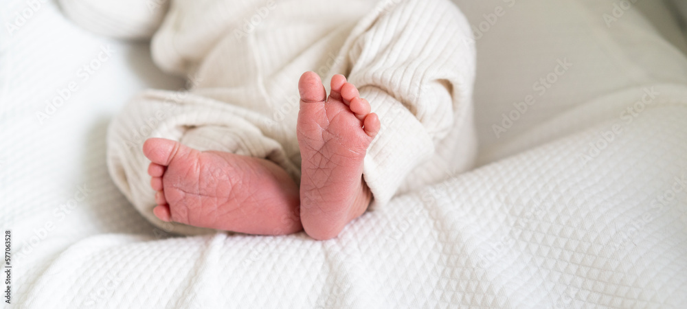 cute photo with the legs of a newborn baby. Soft light background. a place for your text. The concept of child care, motherhood and medicine, banner cute photo with the legs of a newborn baby. Soft light background. a place for your text. The concept of child care, motherhood and medicine, banner