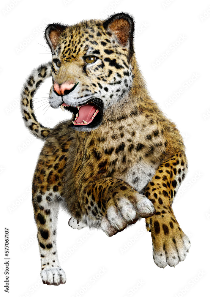 Fototapeta premium 3D Rendering Big Cat Jaguar on White