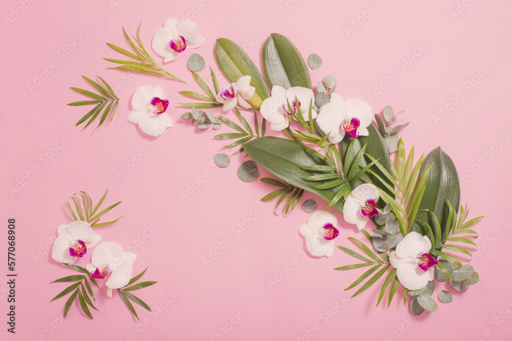 orchid flowers and green leaves on pink paper background