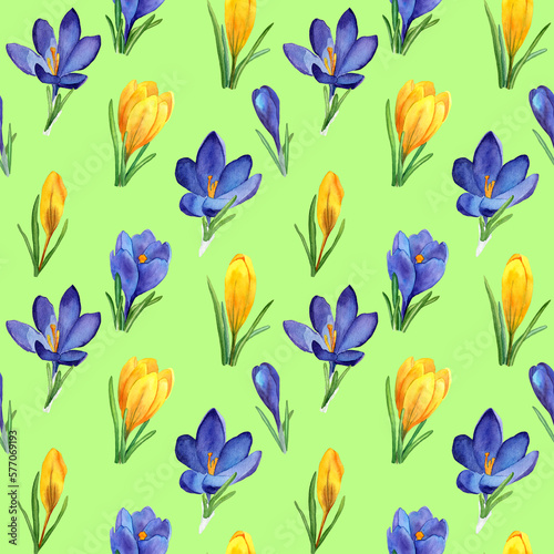 Spring Seamless pattern of blue and yellow crocuses flowers. Watercolor hand painted textile ornament. Botanical design for fabric, packaging, wallpaper, covers. Easter holiday decoration.