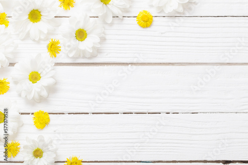 white chrysanthemum and yellow coltsfoot on white wooden background © Maya Kruchancova