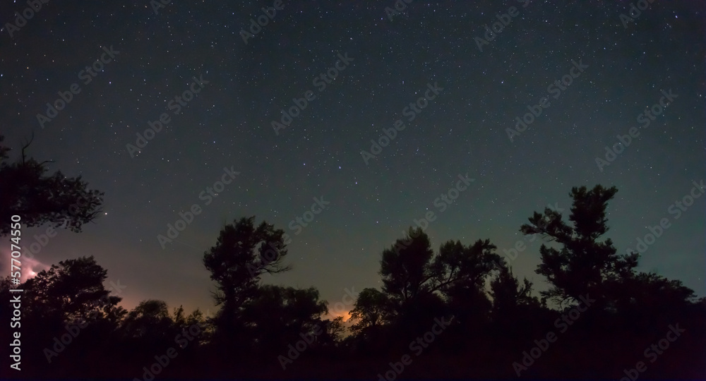 Fototapeta premium forest silhouette under a night starry sky, quiet night outdoor scene