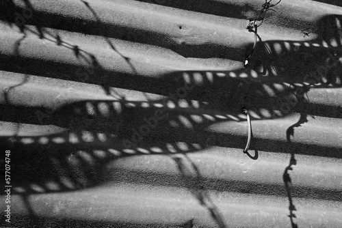 black and white photograph of filmstrip and barbed wire.The theme of censorship in art
