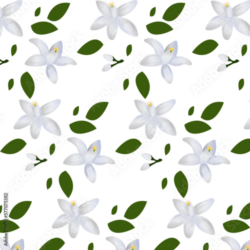 Seamless pattern of neroli. Blossoming branches of the orange on white background. Flowers neroli. Vector illustration.