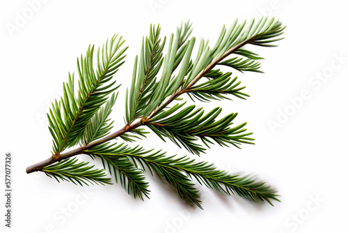 Spruce branch isolated on white background. Green fir. Realistic Christmas tree llustration for Xmas cards  New year party posters. Generative ai