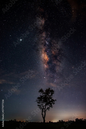 shot of blue night sky milky way,star and tree on dark background.Universe filled with stars, nebula and galaxy with noise and grain.Photo by long exposure and select white balance.
