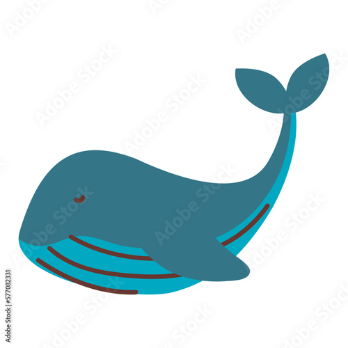 whale swiming sealife animal